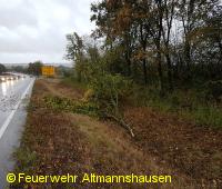 Dieser Ast blockierte die B8